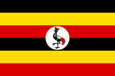 AMS Uganda
